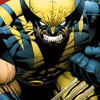 Wolverine Punch Out