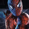 Spiderman 3 memory match
