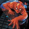 Spiderman memory